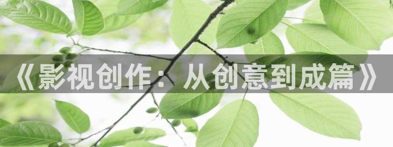 斑马牌jj15：《影视创作：从创意到成篇》