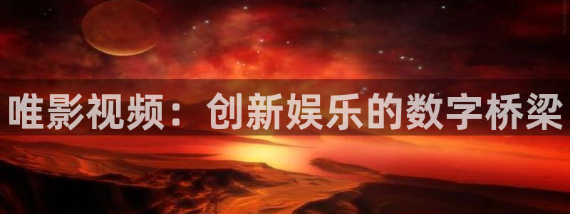 斑马科技有限公司：唯影视频：创新娱乐的数字桥梁