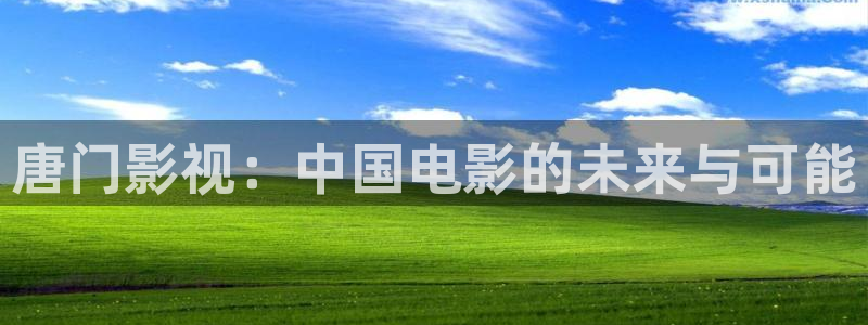 斑马斑马电影在线观看：唐门影视：中国电影的未来与可能