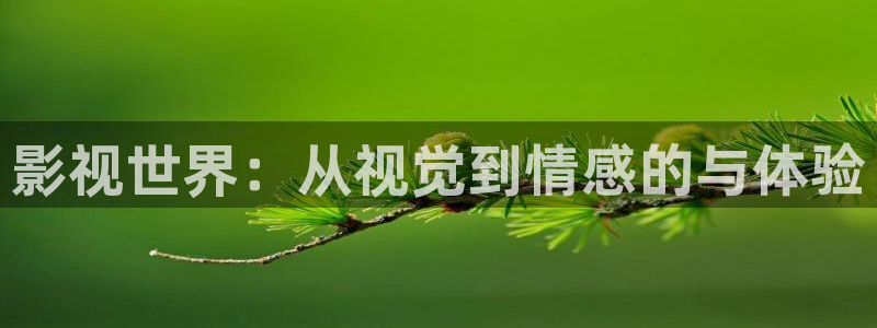 斑马智能：影视世界：从视觉到情感的与体验