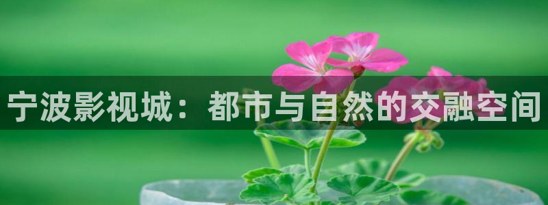 斑马街姐弟电影免费观看国语：宁波影视城：都市与自然的交融空间