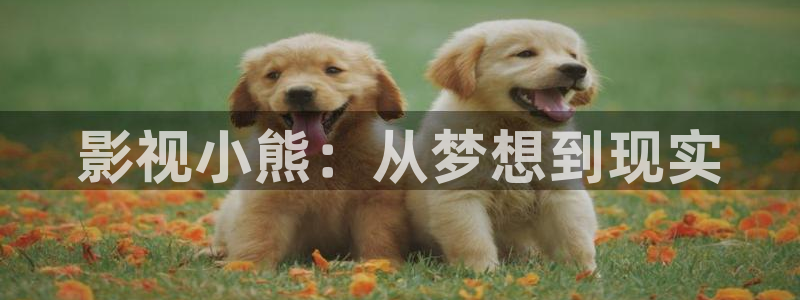 49元斑马ai：影视小熊：从梦想到现实