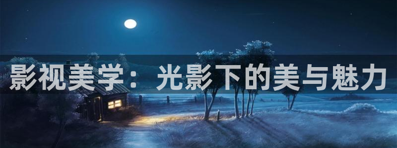 斑马ds2208：影视美学：光影下的美与魅力