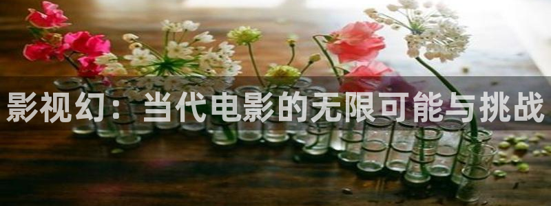 斑马ds4308：影视幻：当代电影的无限可能与挑战