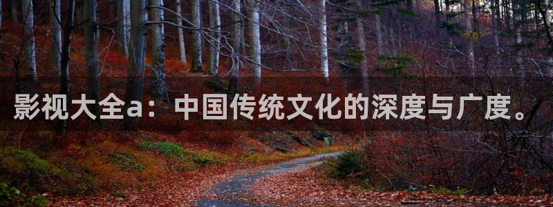 斑马j4j1：影视大全a：中国传统文化的深度与广度。